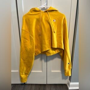 Cropped women’s champion hoodie